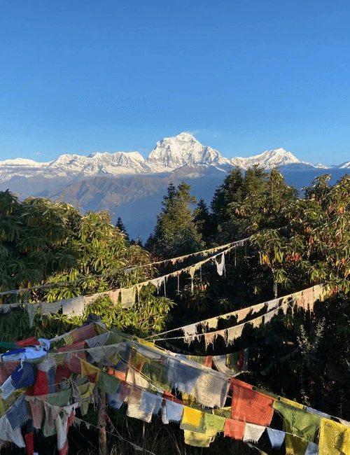 Ghorepani Poon Hill Trekking Guide