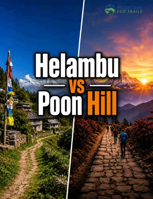 Helambu vs Poon Hill Trek Guide