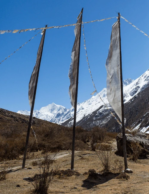 Best Season for Langtang Valley Trek