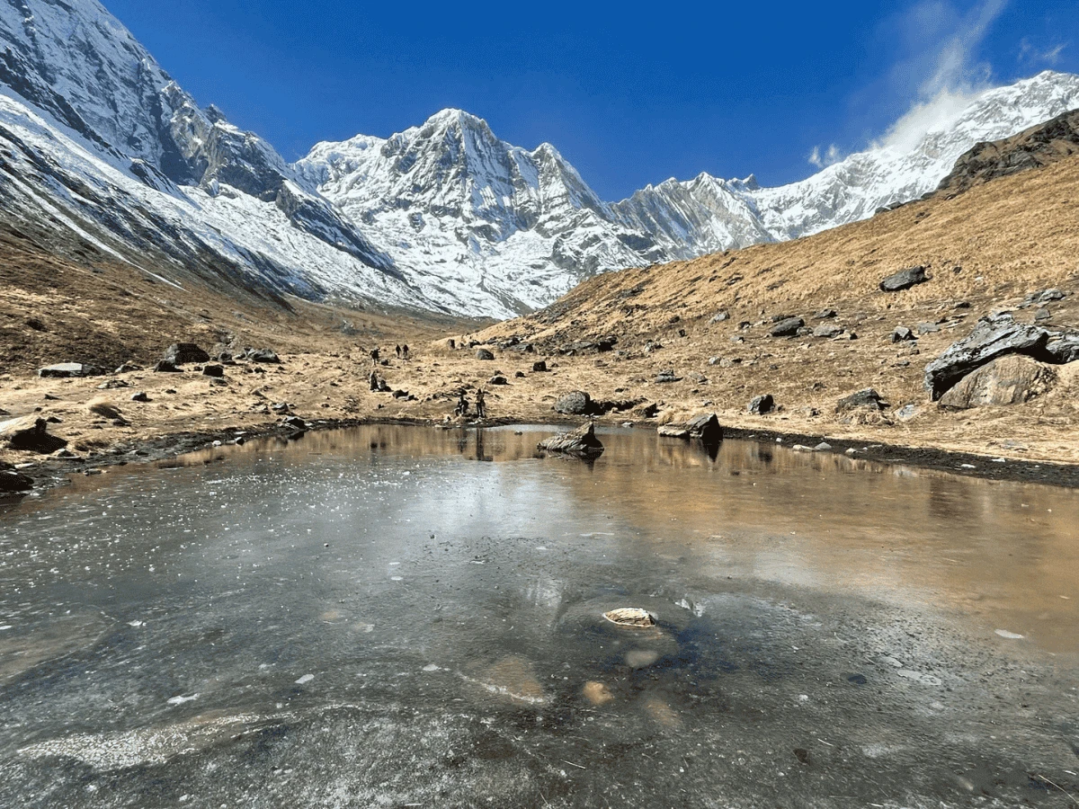 Ghorepani ABC Trek