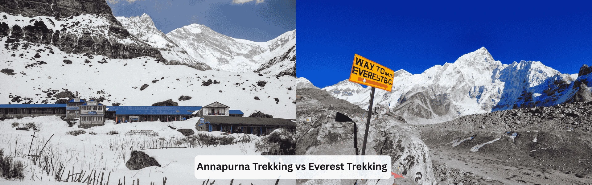 Annapurna vs Everest Trekking