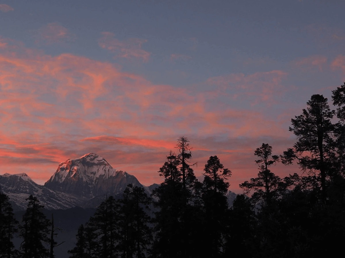 Mohare Danda Khopra Trek