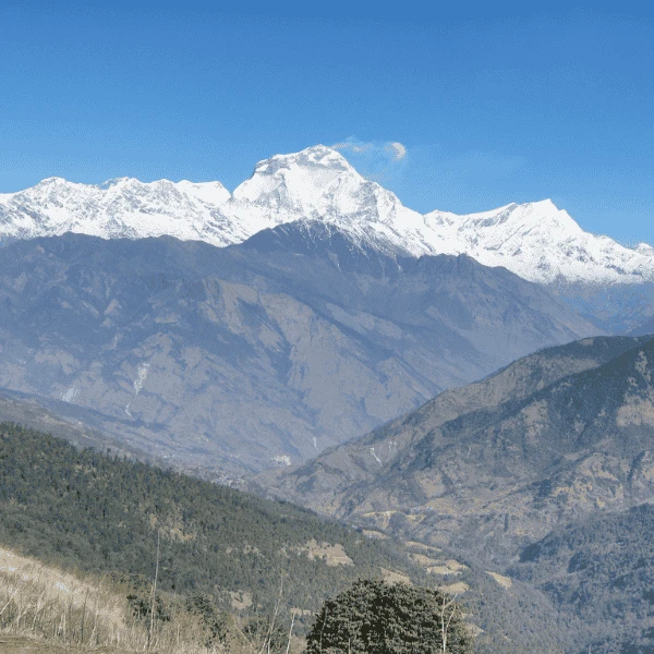 3 Day Short Poon Hill Trek