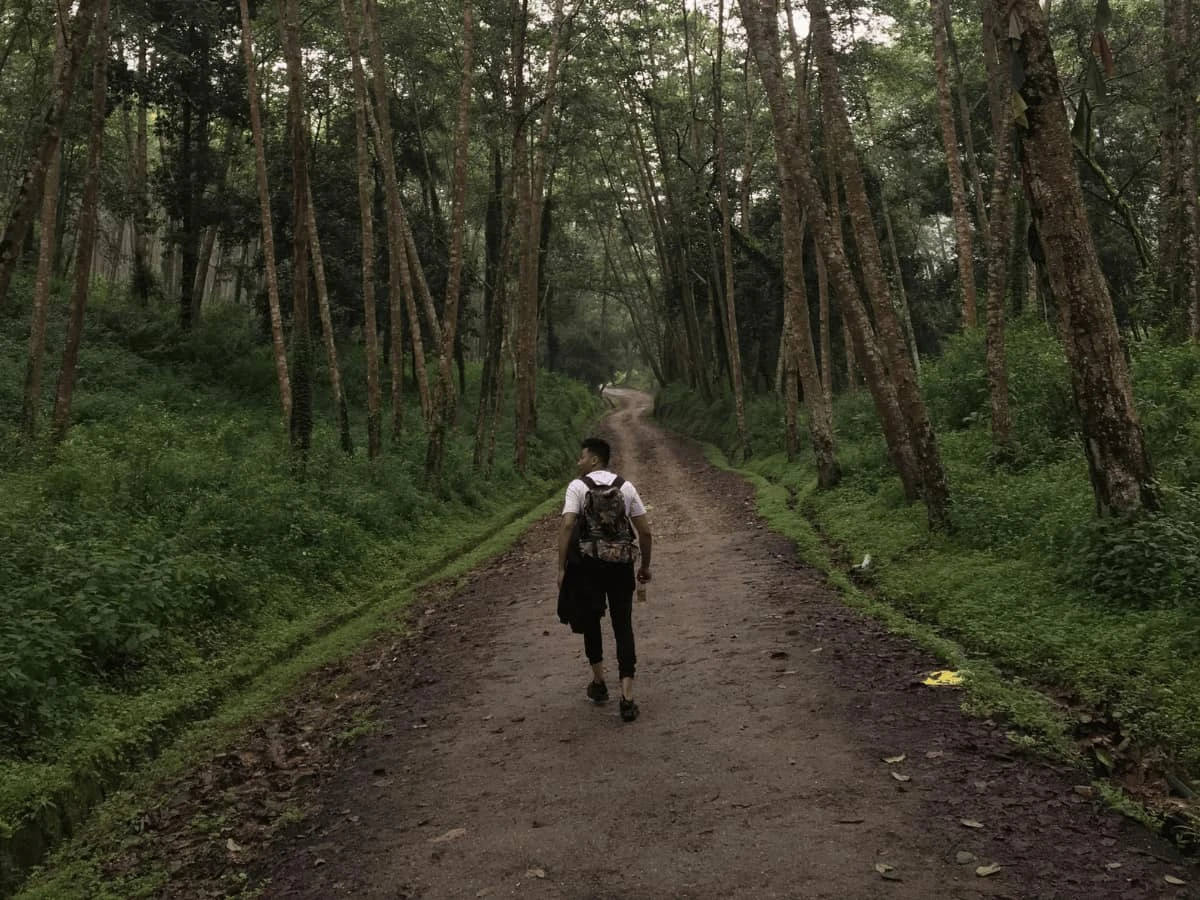 Phulchowkin Day Hike