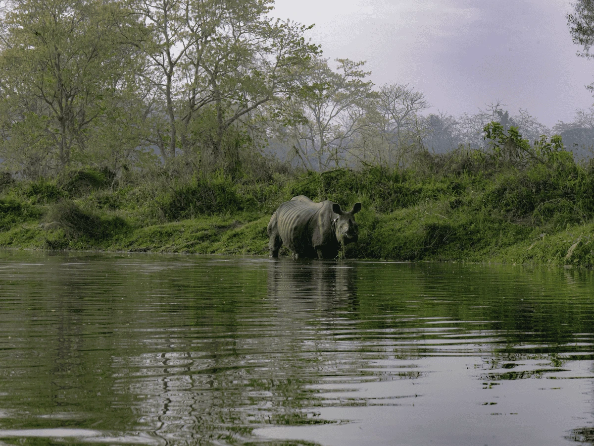 Kathmandu to Chitwan Tour