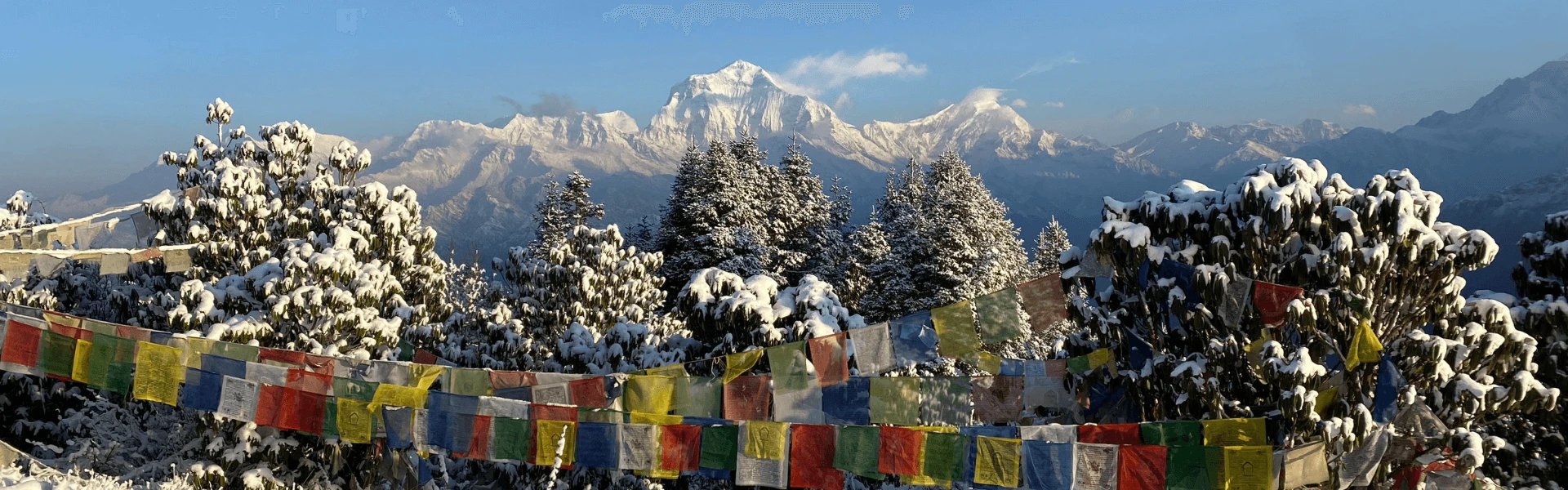 Ghorepani Poon Hill Trekking Guide