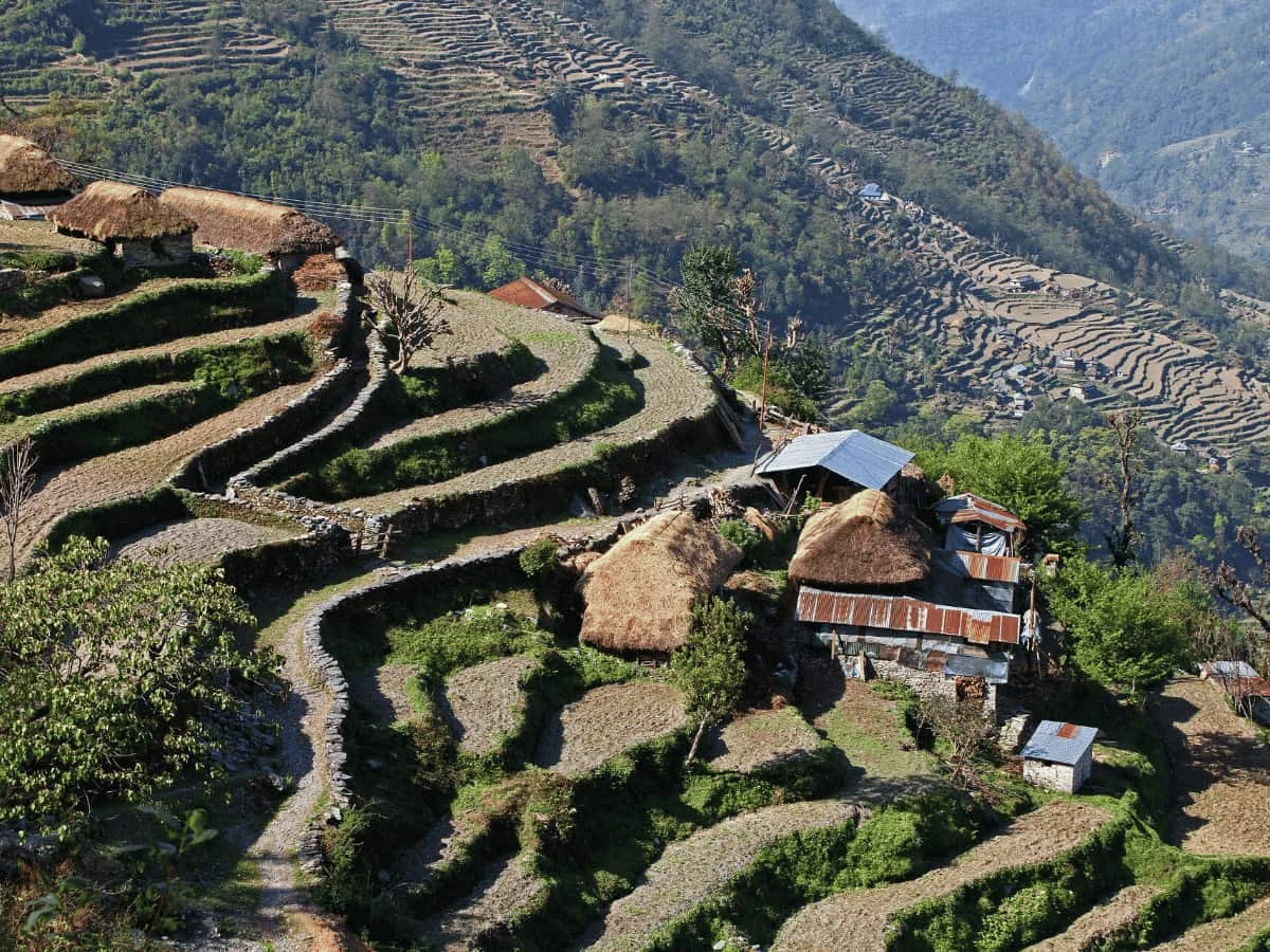 Day Hike to Dhampus