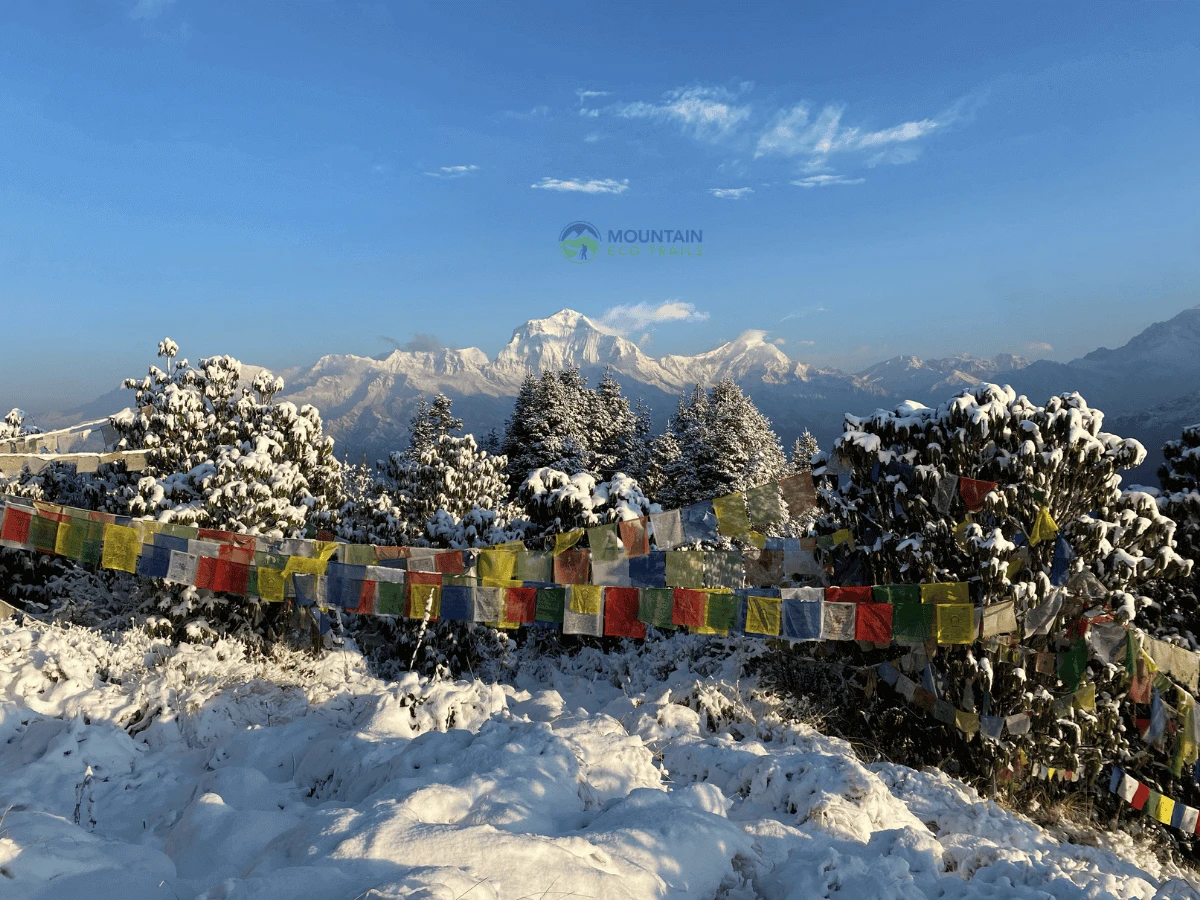 Poon Hill Trek