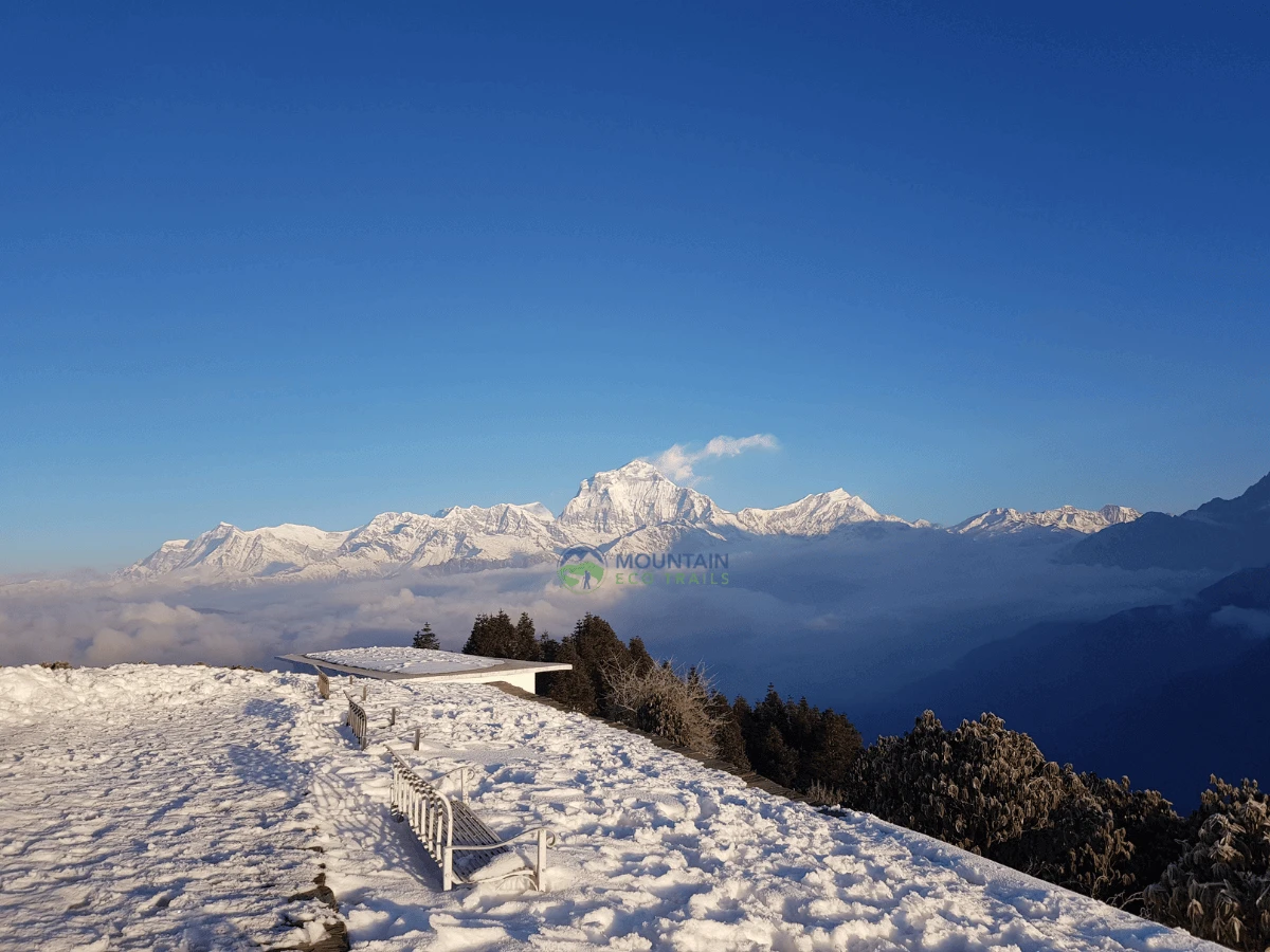 3 Day Short Poon Hill Trek