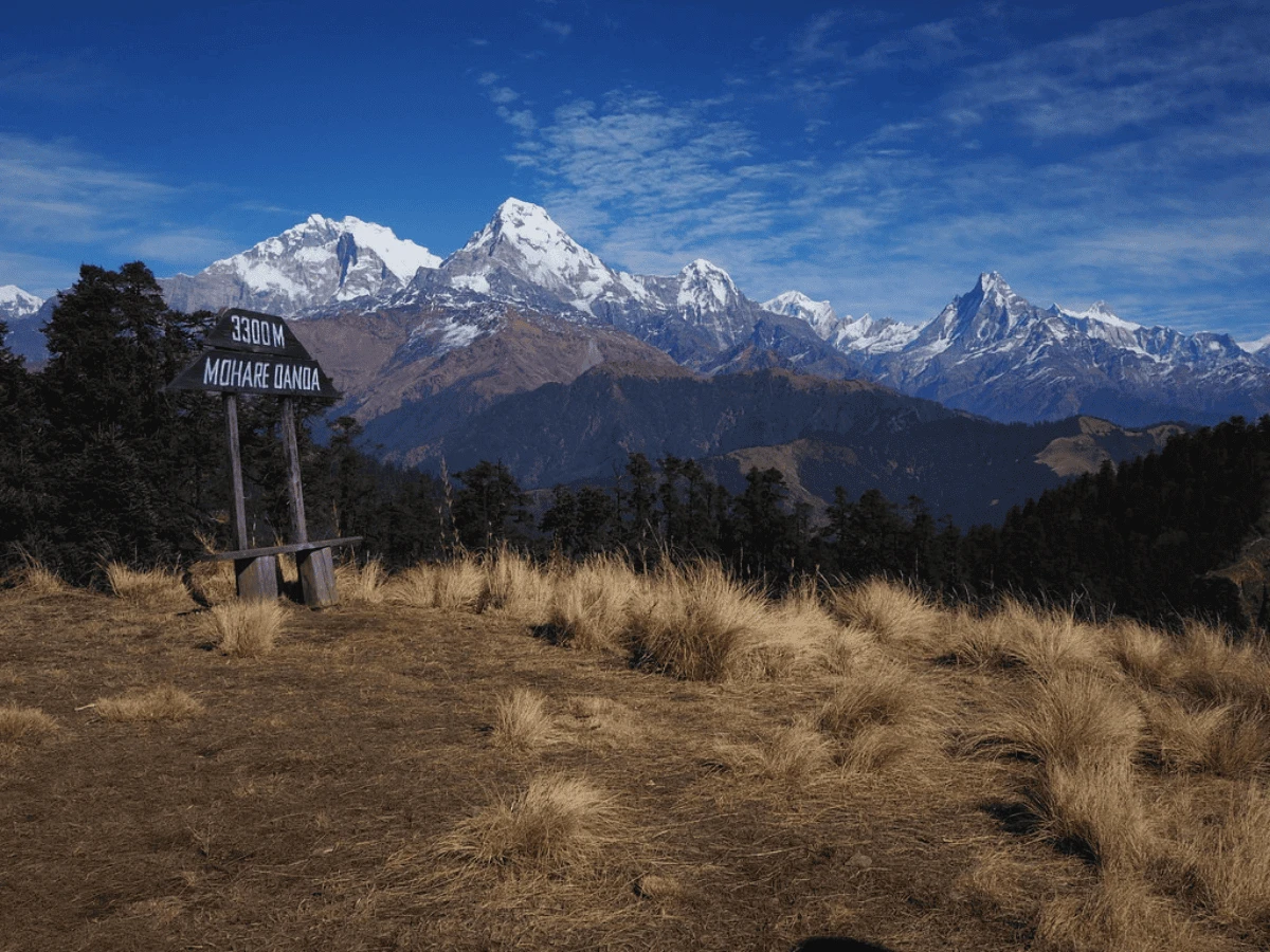 Mohare Danda Trek