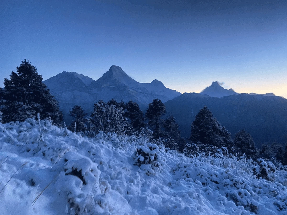 Ghorepani Poon Hill Trek