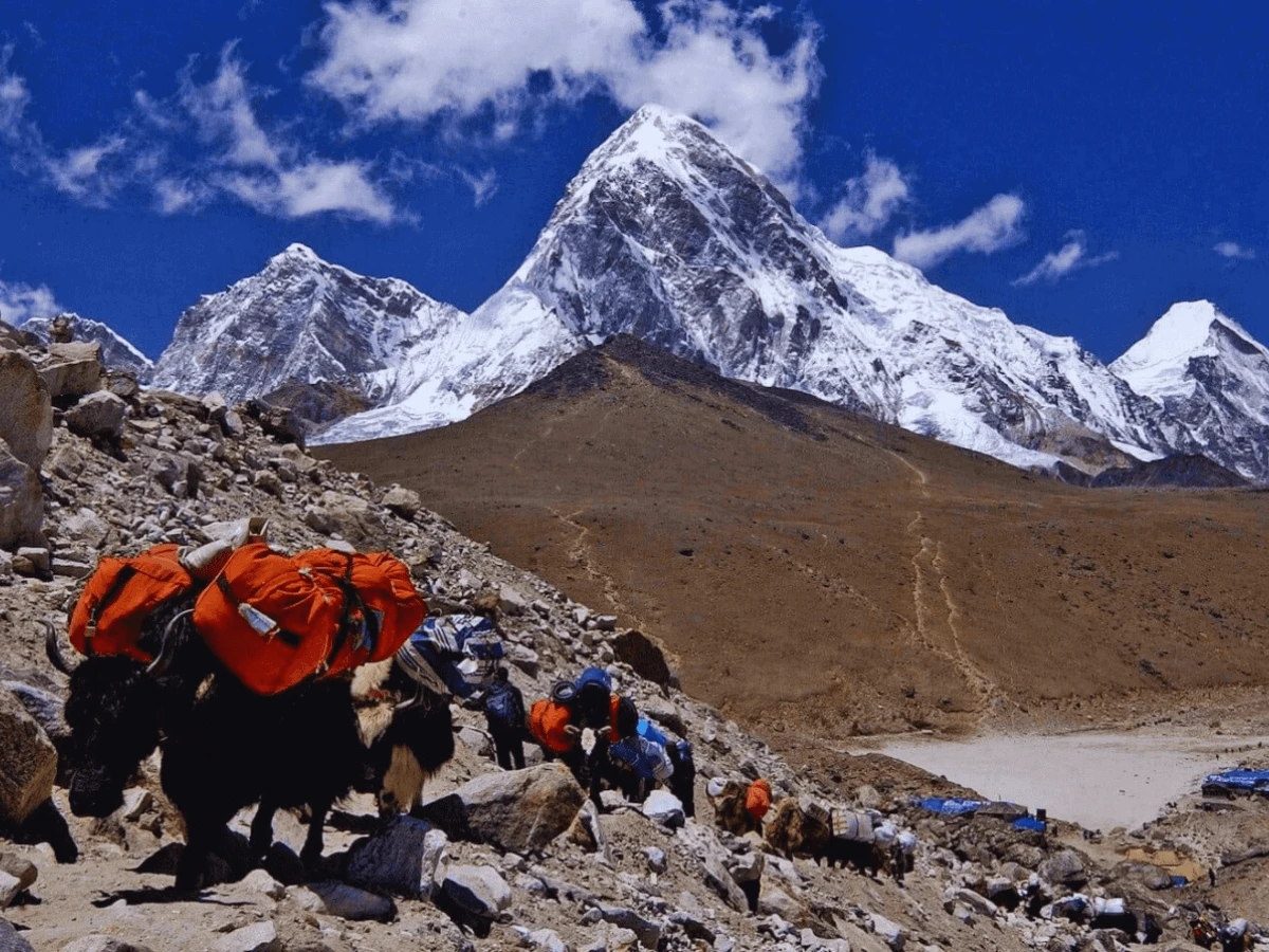 Short Everest Base Camp Trek