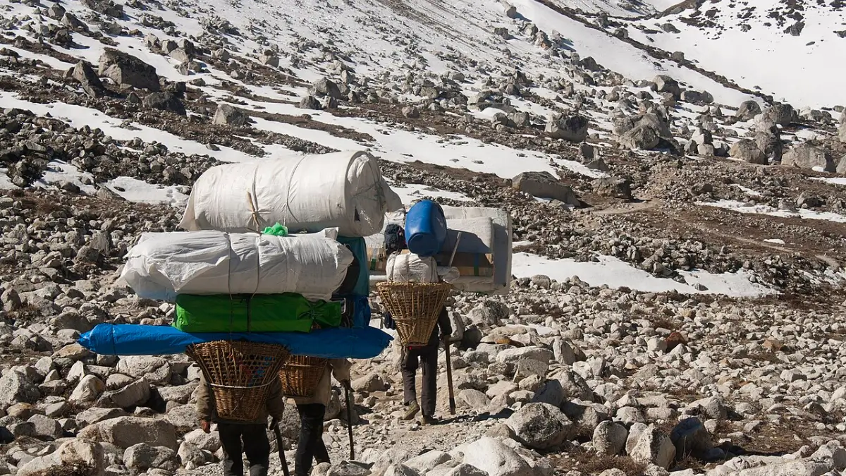 Porter during Everest Three High Passes Trek