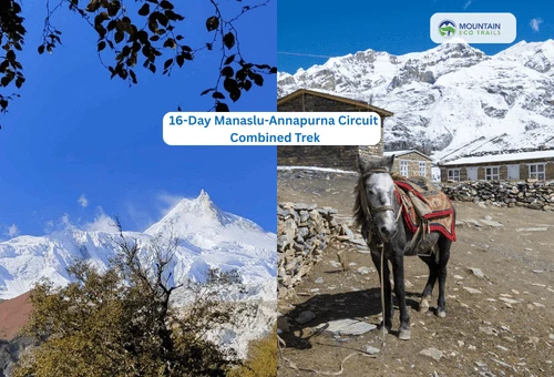 Combined Manaslu Annapurna Circuit Trek