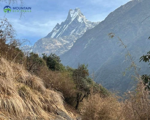 Macchapuchre View From Abc Route
