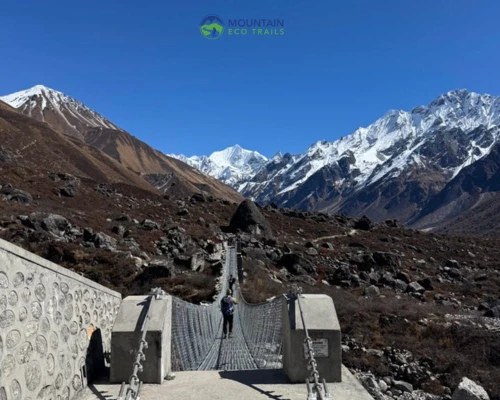 Trekkers At Suspension Bridge Langtang