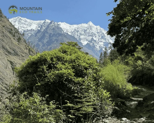 Tsum Valley Route