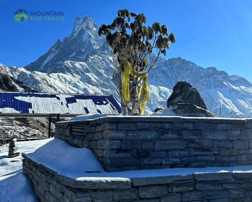 View Of Macchapuchre From High Camp