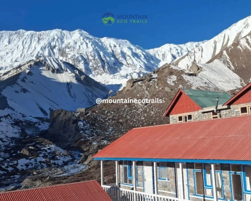 Yak Kharka Annapurna Circuit